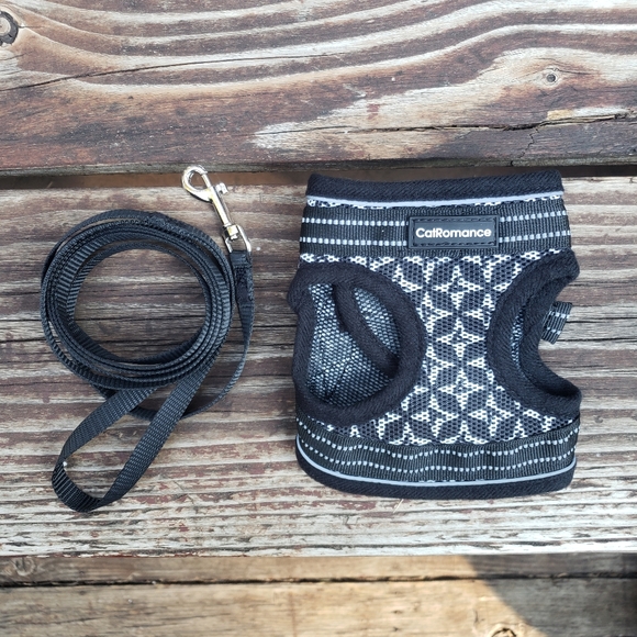 CatRomance Black and Silver Kitten Harness and Leash - Picture 2 of 14